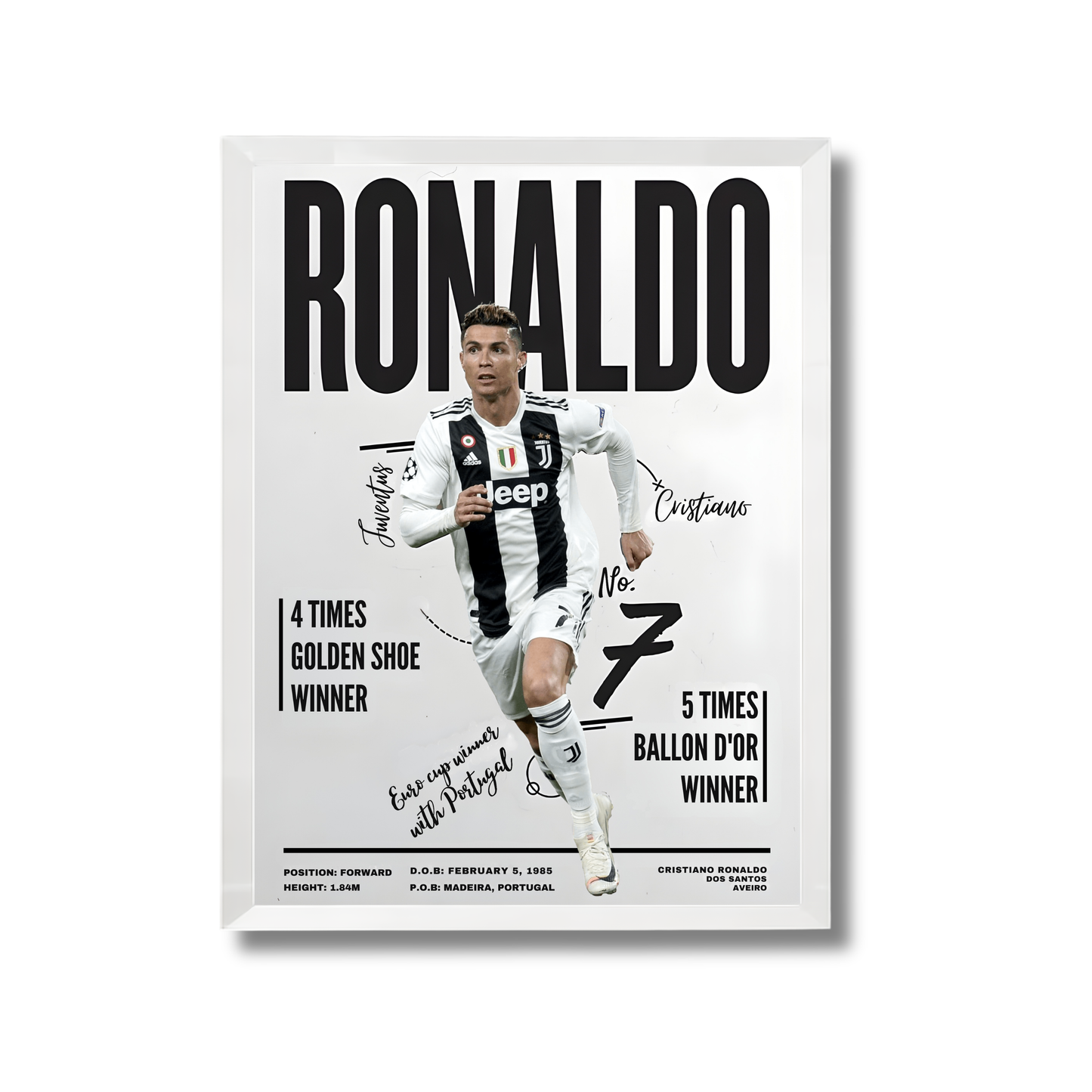 Ronaldo Poster #115