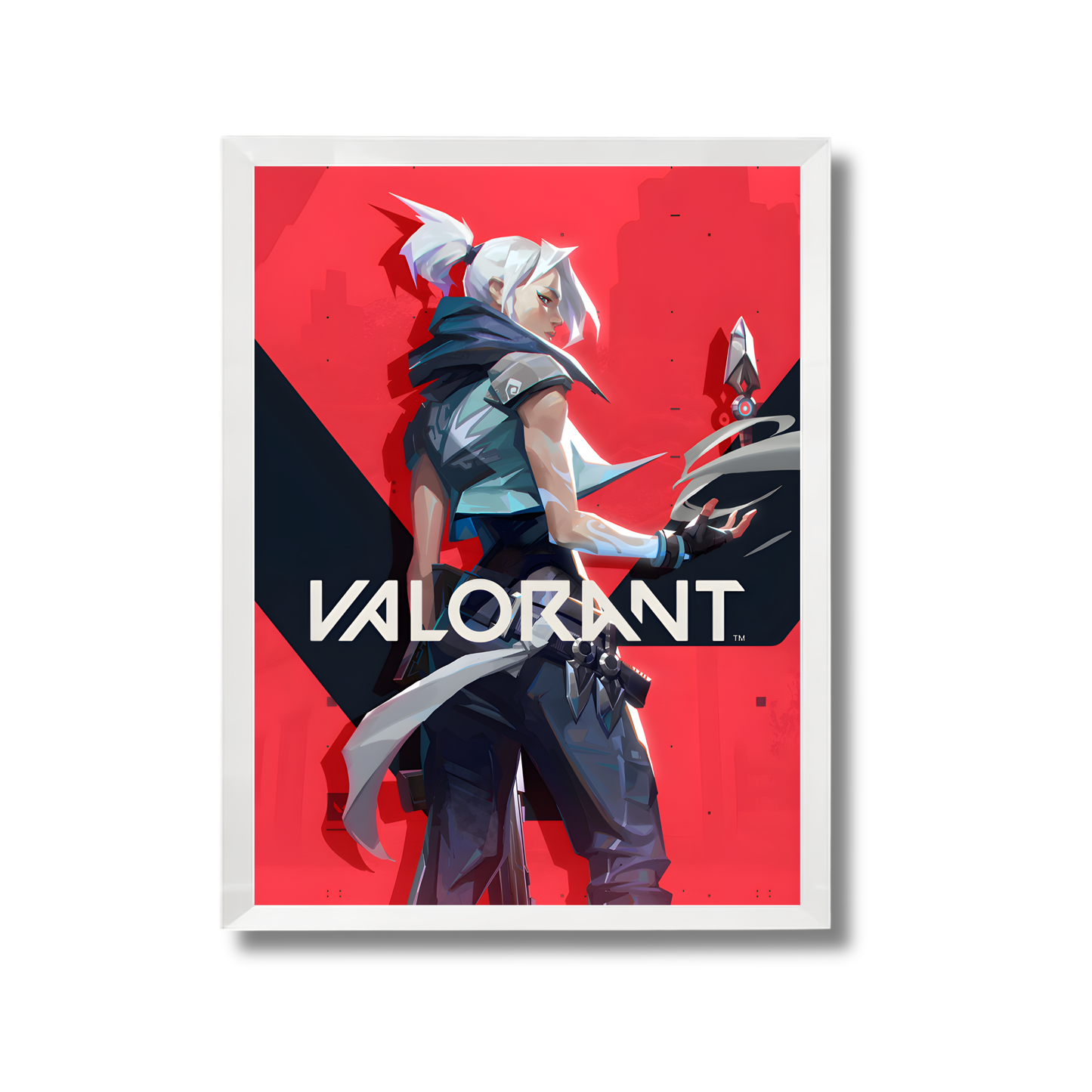 Valorant Gaming Poster #294