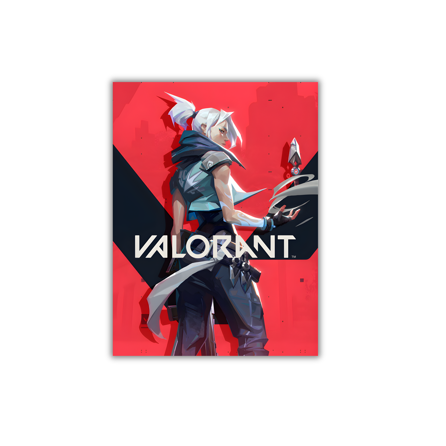 Valorant Gaming Poster #294