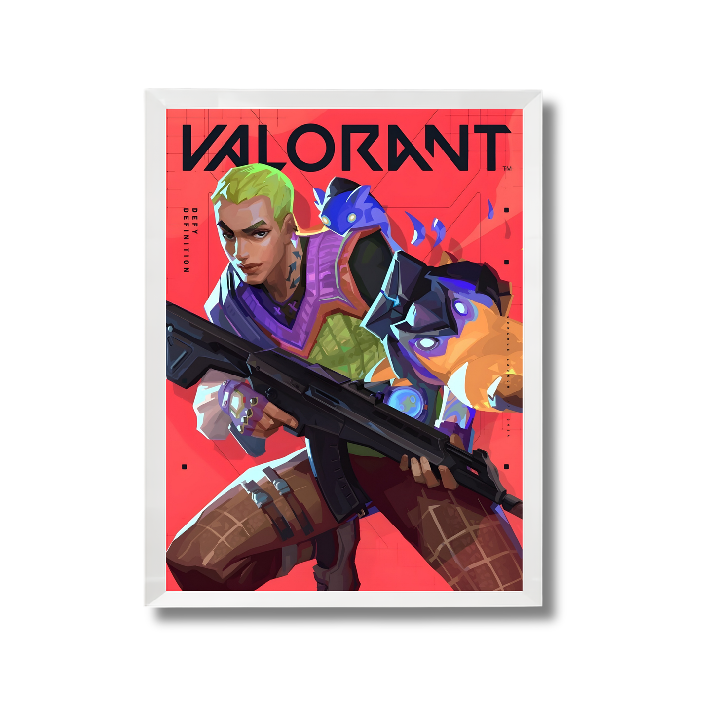 Valorant Gaming Poster #301