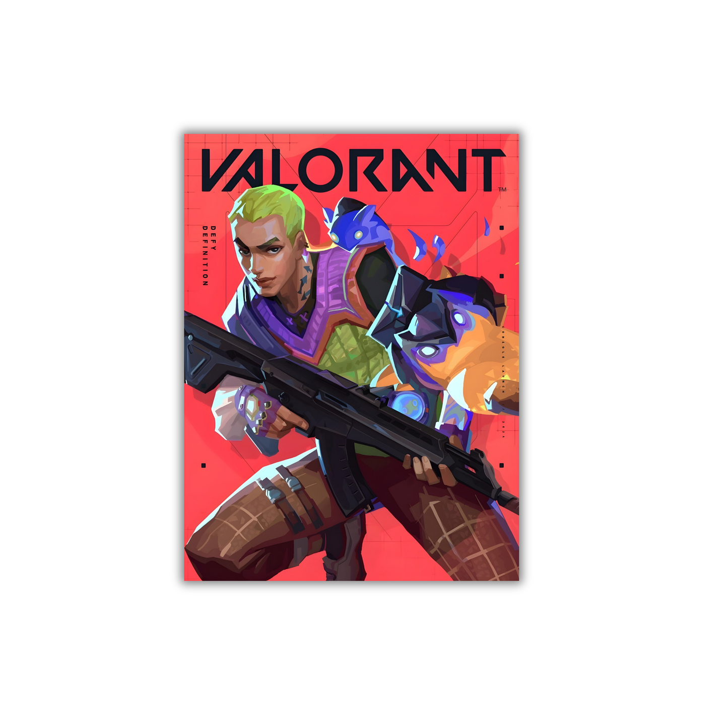 Valorant Gaming Poster #301