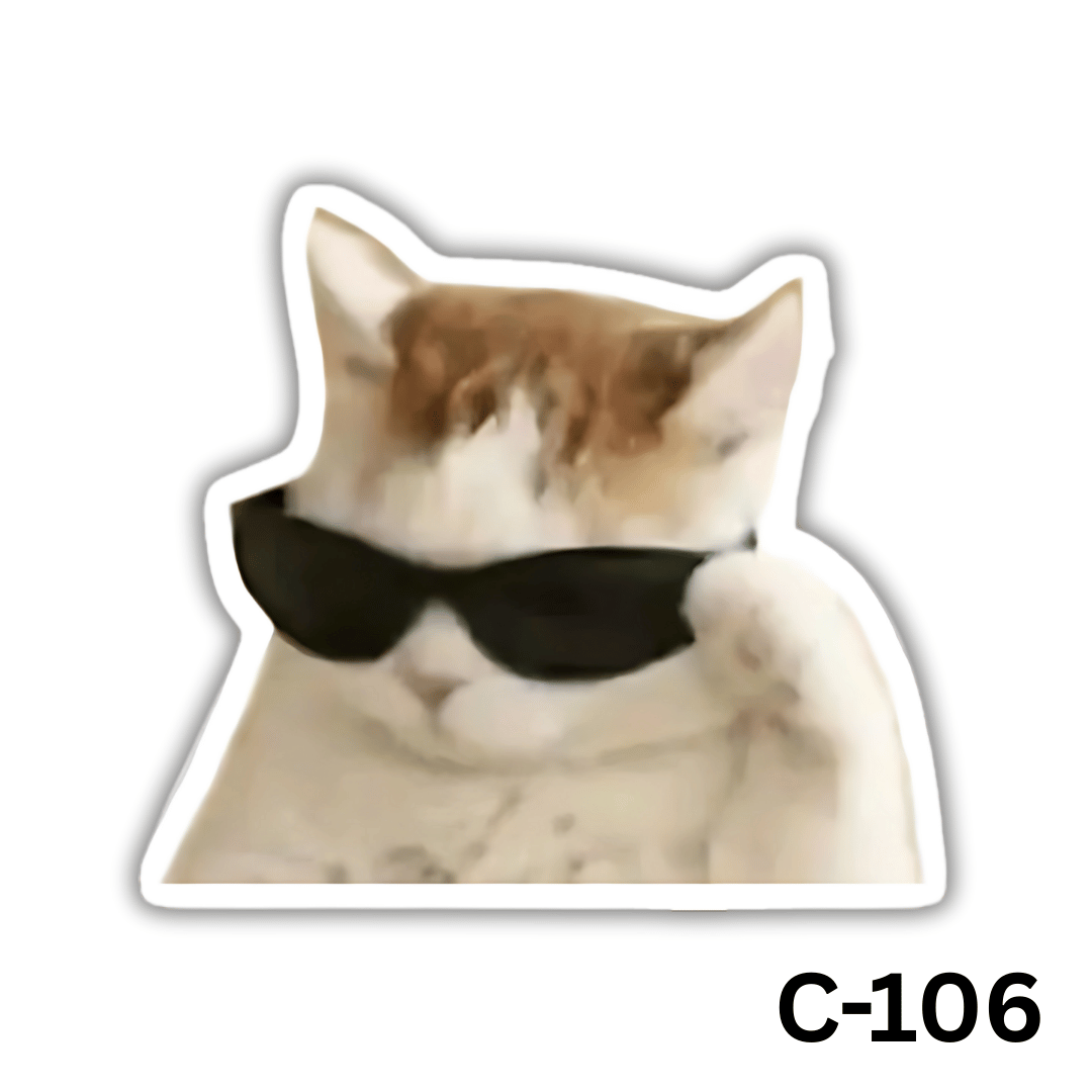Sunglasses (C-106)