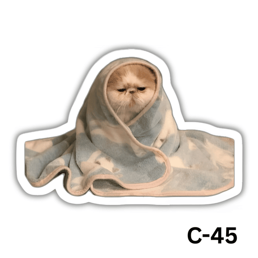 Sleepy Cat(C-45)