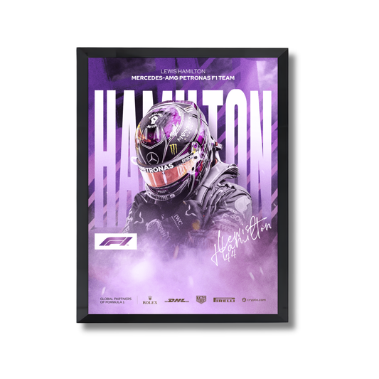 Lewis Hamilton during his time with the Mercedes-AMG Petronas F1 Team Formula 1 Poster #739