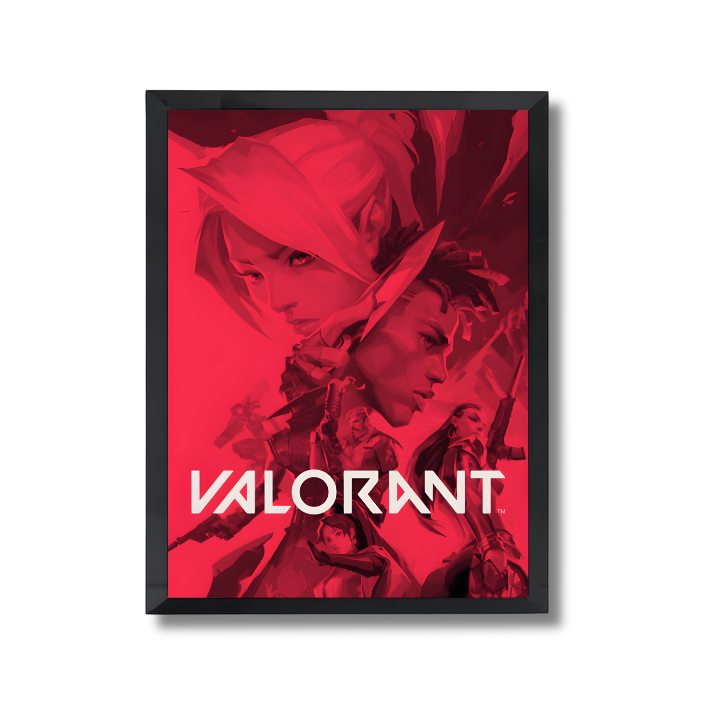 Valorant Gaming Poster #296