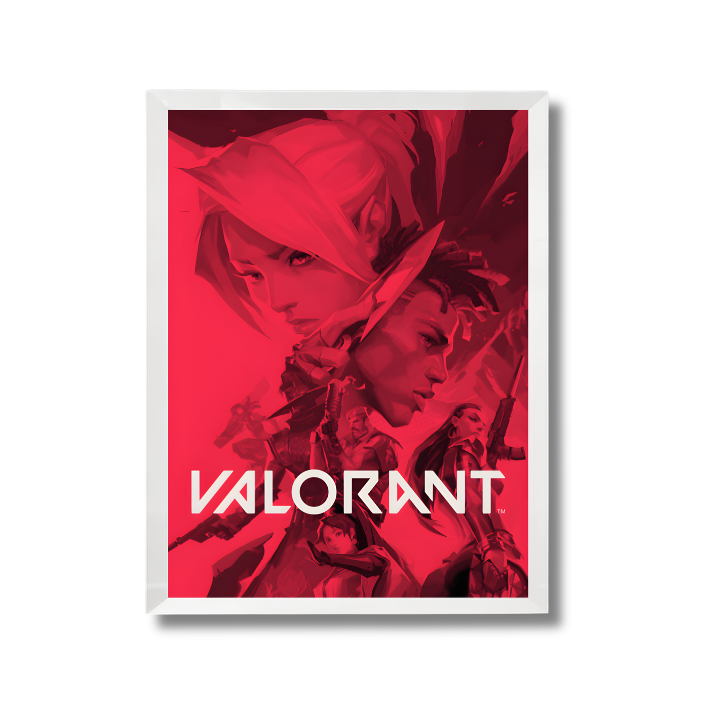 Valorant Gaming Poster #296
