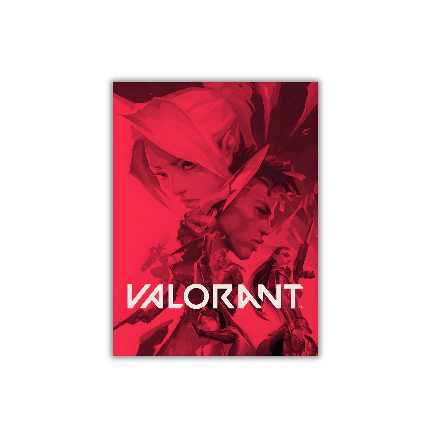 Valorant Gaming Poster #296