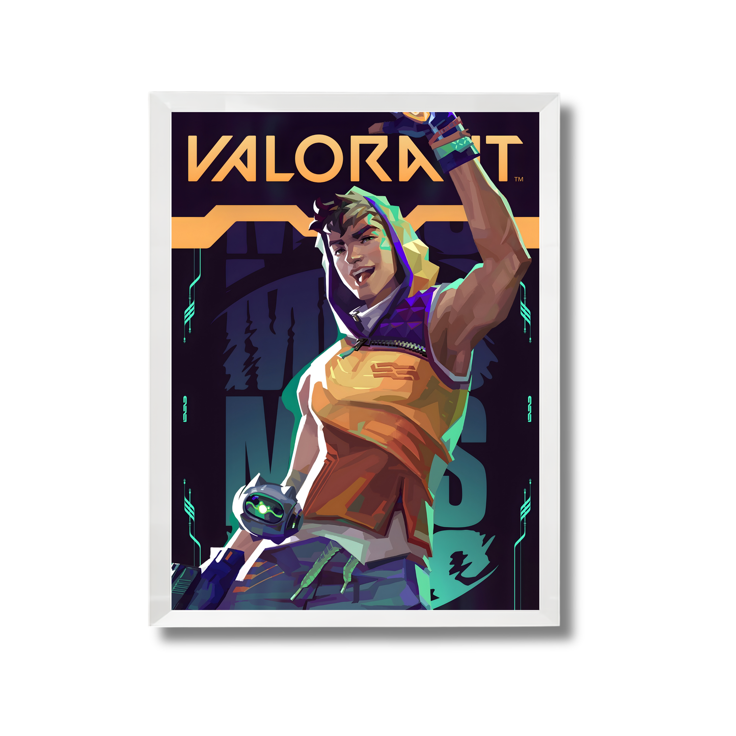 Valorant Gaming Poster #302