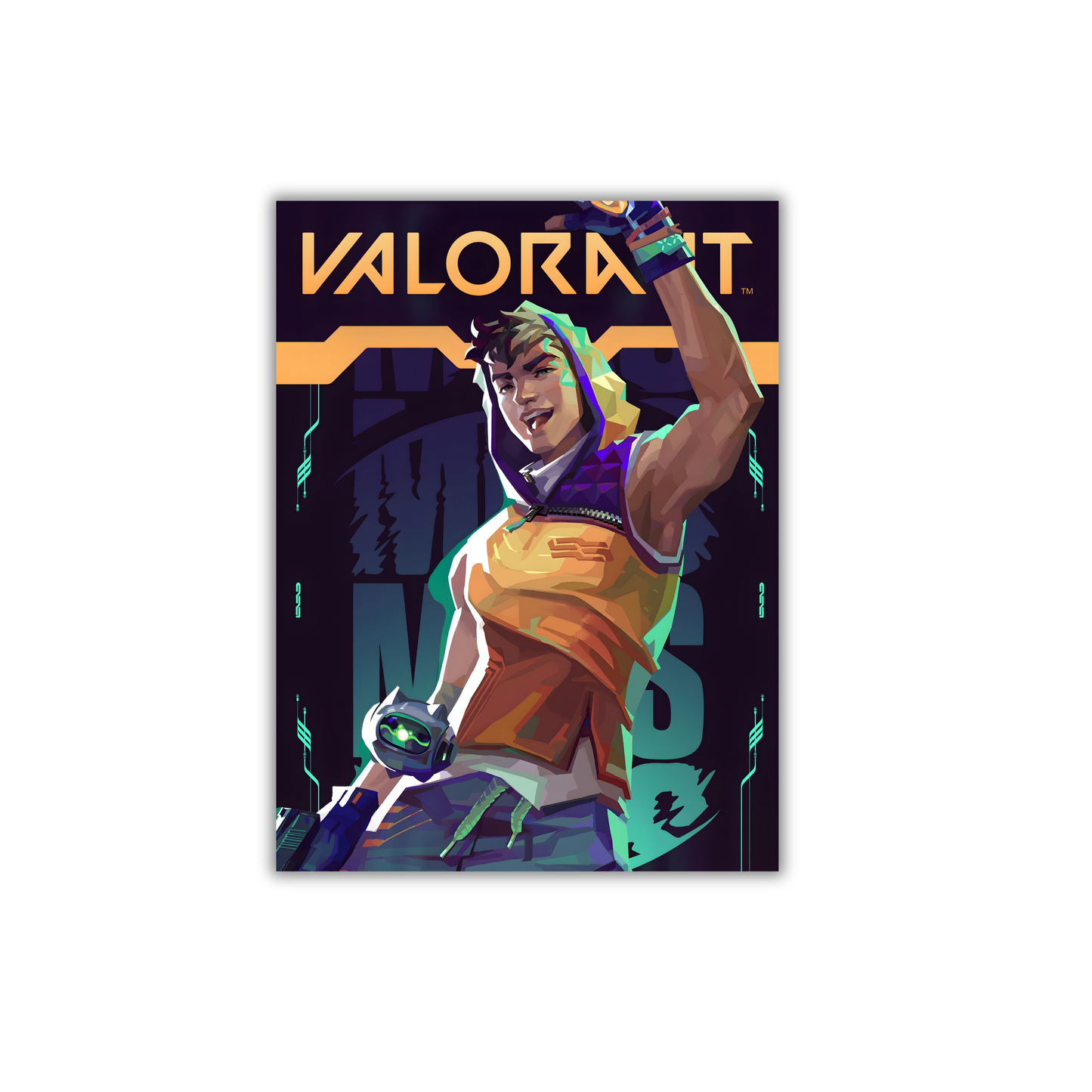 Valorant Gaming Poster #302