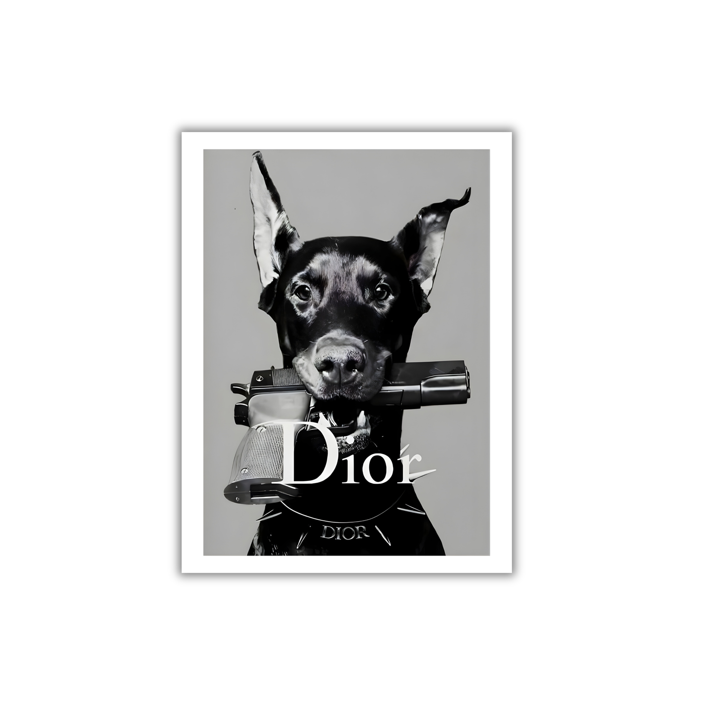 Doberman with Gun and Dior Logo  Girly Poster #449