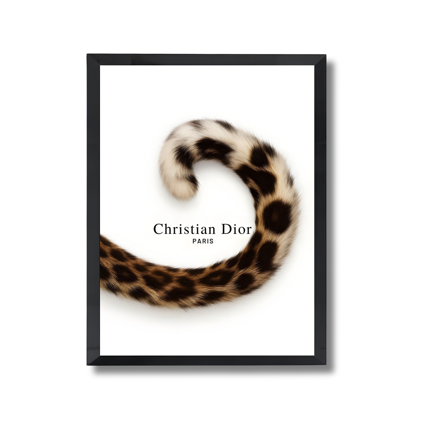 Christian Dior - Paris Girly Poster #458