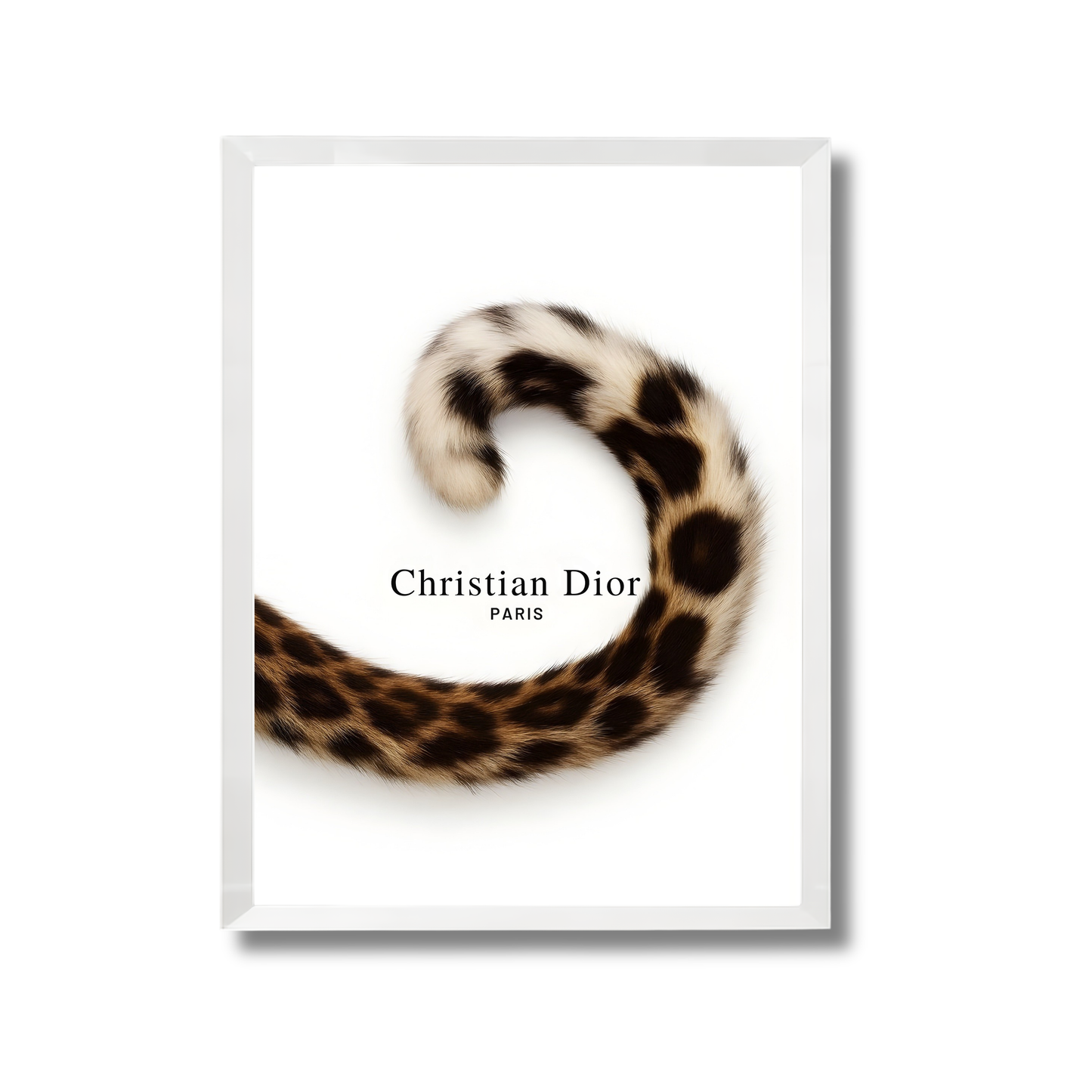 Christian Dior - Paris Girly Poster #458