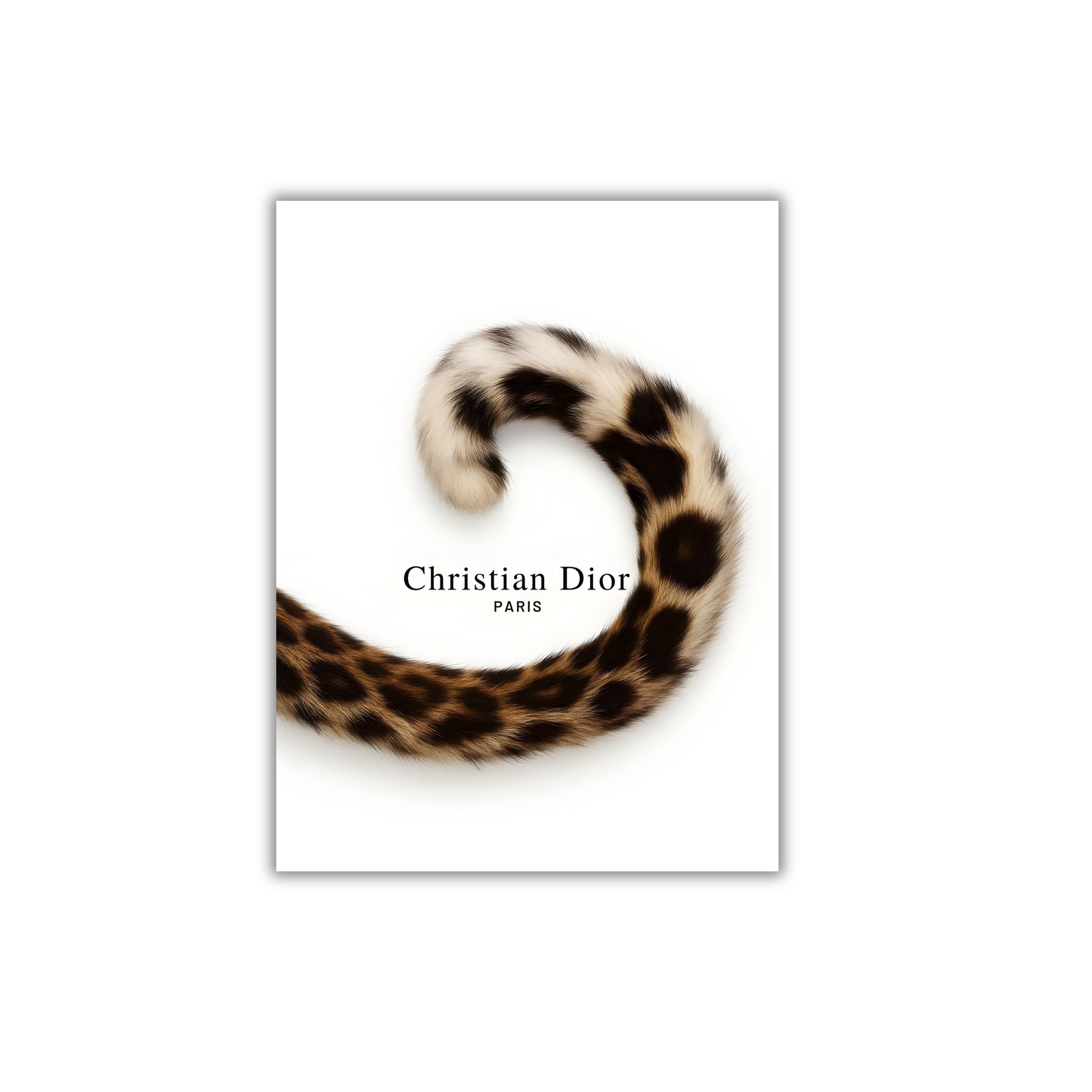 Christian Dior - Paris Girly Poster #458