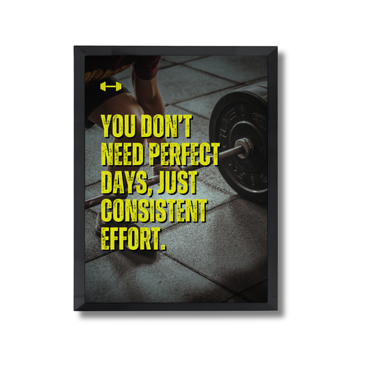 You don’t need perfect days, just consistent effort Motivational Poster #584