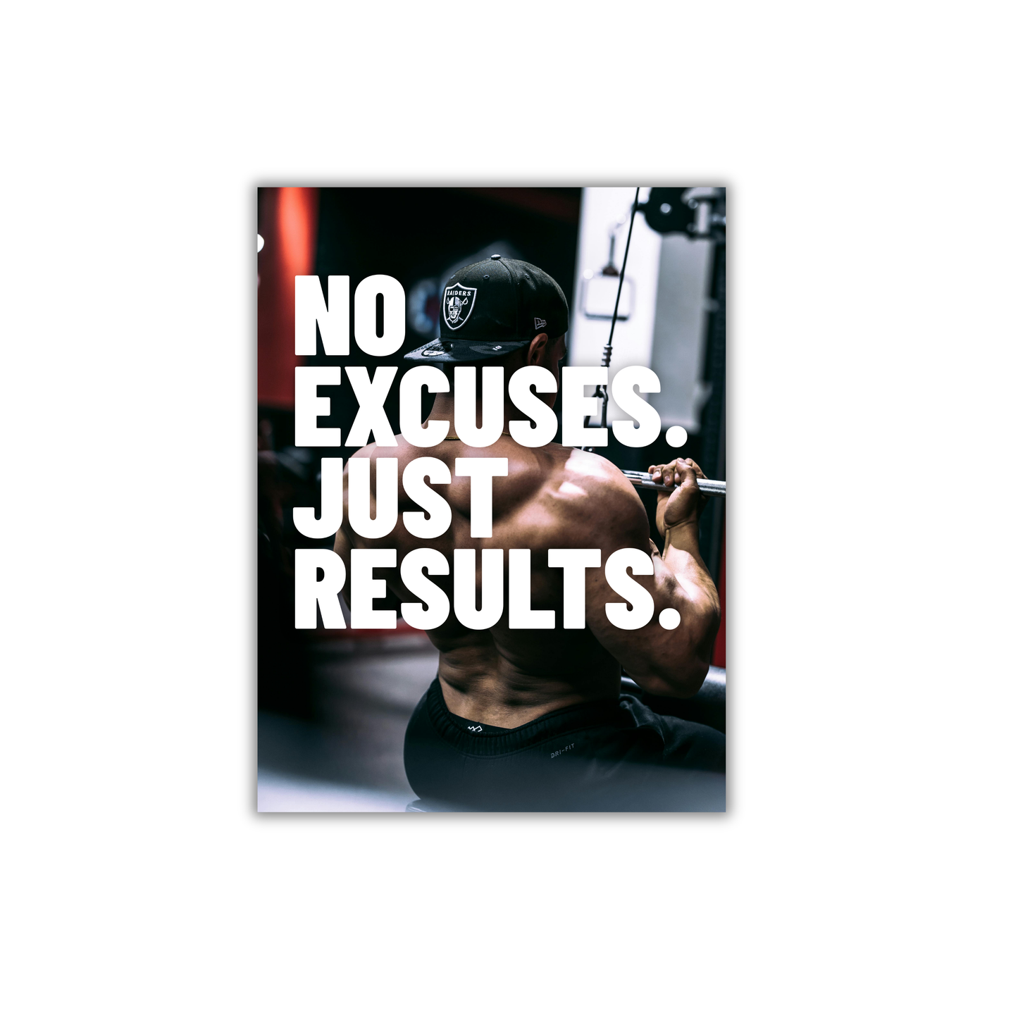 No Excuses. Just Results. Motivational Poster #585