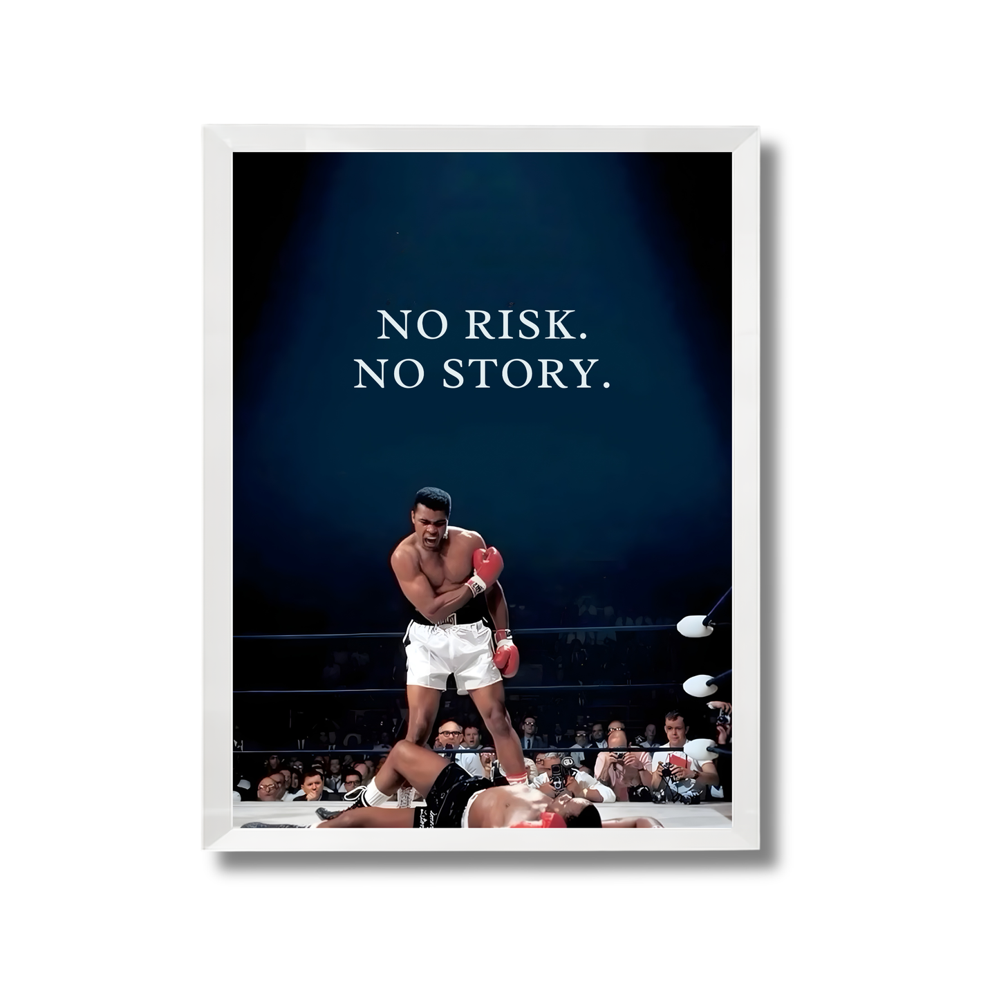 NO RISK.  NO STORY. Motivational Poster #611
