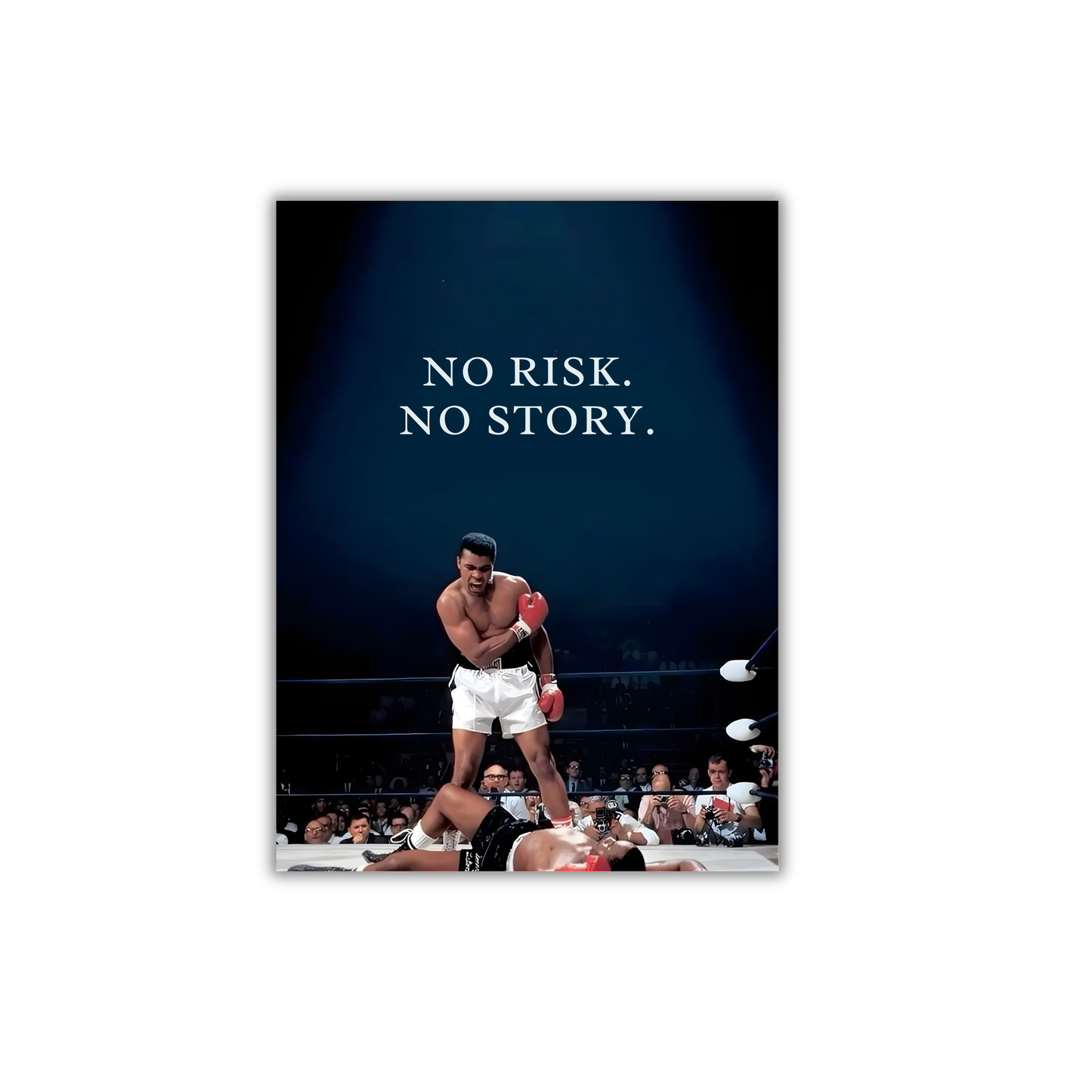 NO RISK.  NO STORY. Motivational Poster #611