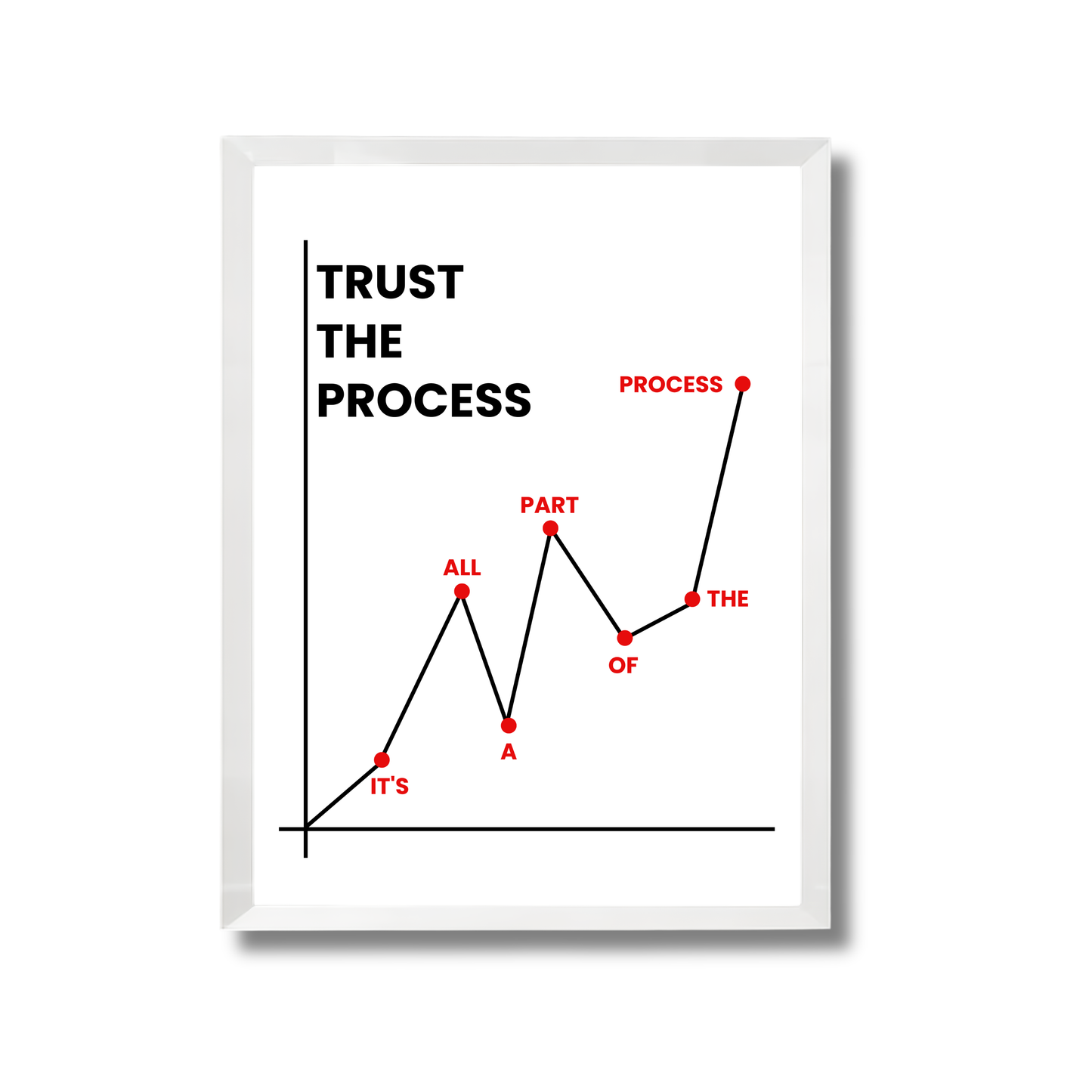 TRUST THE PROCESS Motivational Poster #625