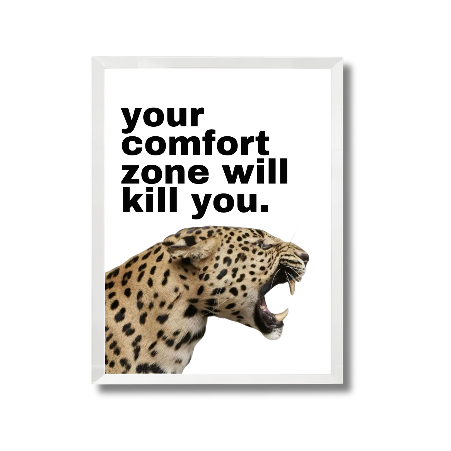 your comfort zone will kill you. Motivational Poster #626