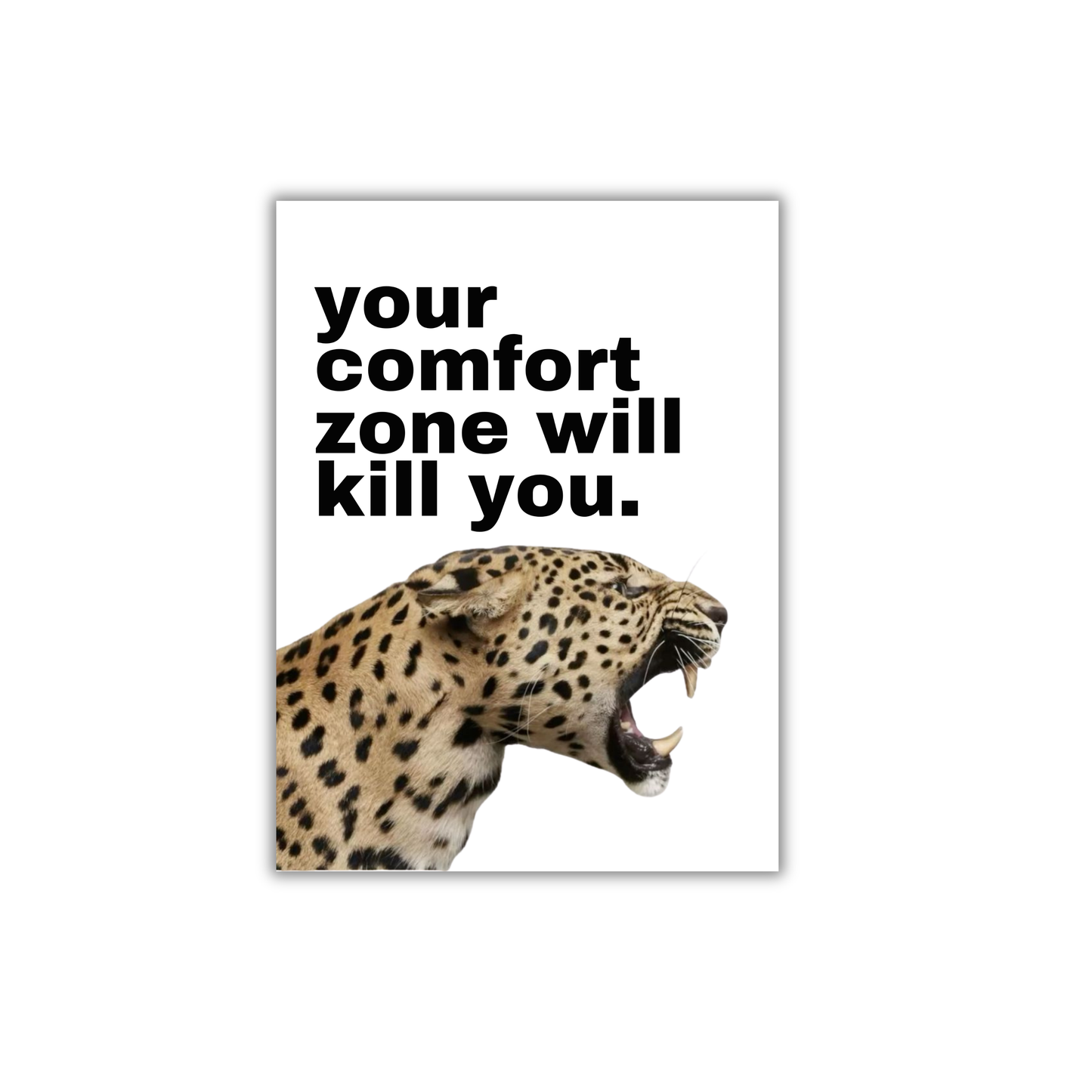 your comfort zone will kill you. Motivational Poster #626
