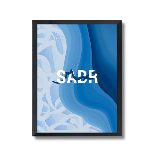 Sabr Poster #669
