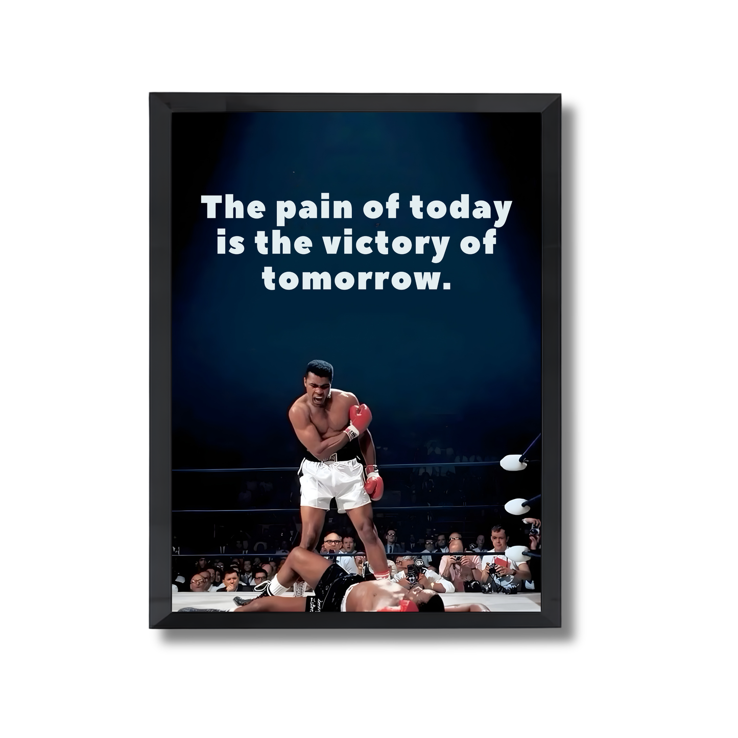 The pain of today is the victory of tomorrow. Motivational Poster #689