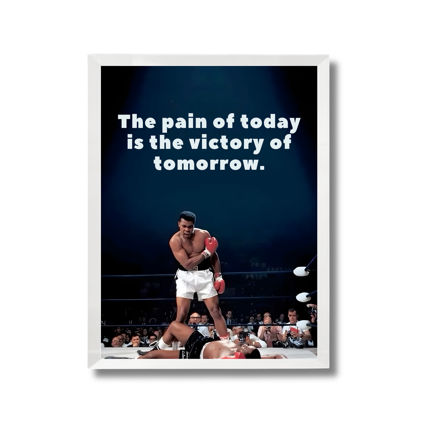 The pain of today is the victory of tomorrow. Motivational Poster #689