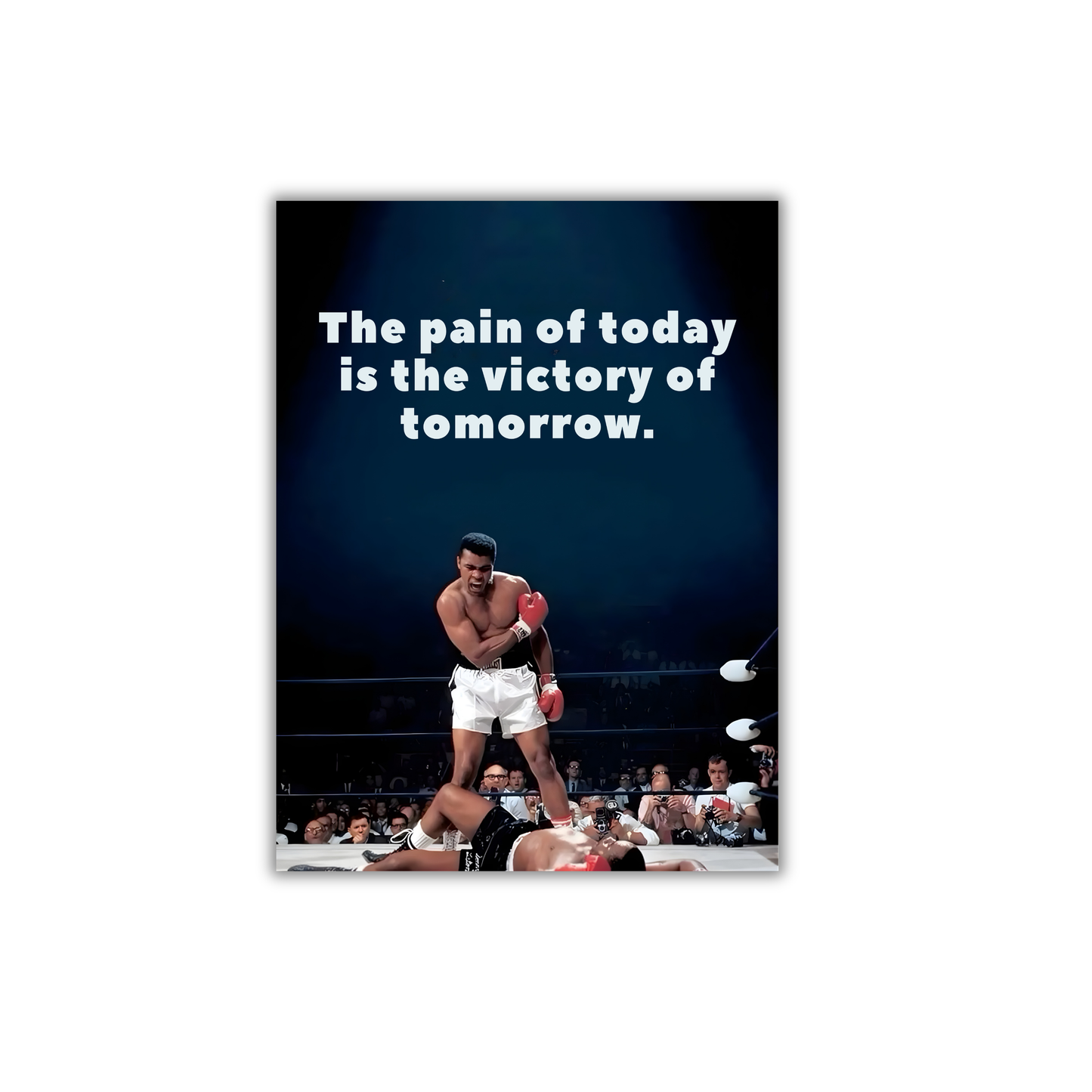 The pain of today is the victory of tomorrow. Motivational Poster #689