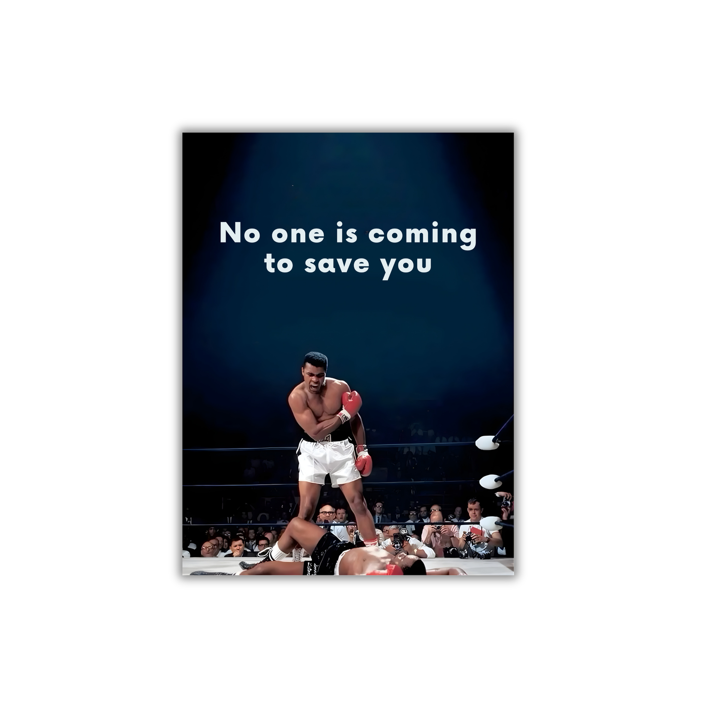 No one is coming to save you Poster #690